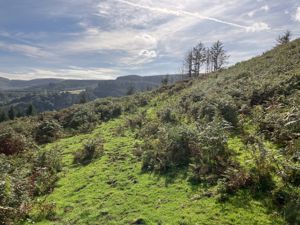 Photo 4- click for photo gallery